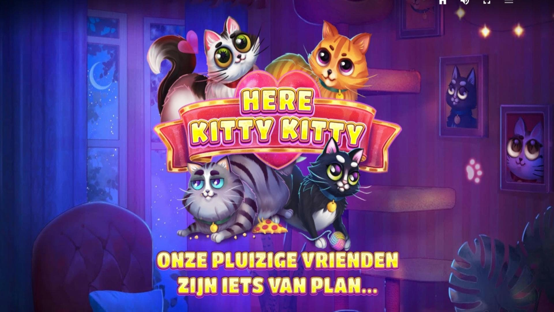 BetCity.nl - Online sportweddenschappen en casino gaming afbeelding